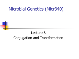 Microbial Genetics (Micr340) Lecture 8 Conjugation and Transformation
