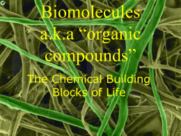 Biomolecules a.k.a “organic compounds” The Chemical Building