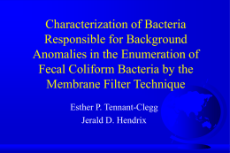 Characterization of Bacteria Responsible for Background Anomalies in the Enumeration of