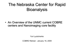 The Nebraska Center for Rapid Bioanalysis centers and Nanoimaging core facility