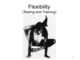 Flexibility (Testing and Training) 1