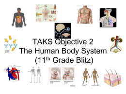 TAKS Objective 2 The Human Body System (11 Grade Blitz)