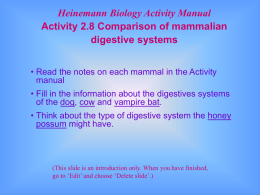 Heinemann Biology Activity Manual Activity 2.8 Comparison of mammalian digestive systems