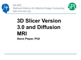 3D Slicer Version 3.0 and Diffusion MRI Steve Pieper, PhD