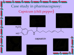 ) Case study in pharmacognosy: Capsicum (chili pepper capsaicin