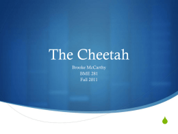 The Cheetah S Brooke McCarthy BME 281