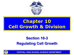 Chapter 10 Cell Growth &amp; Division Section 10-3 Regulating Cell Growth
