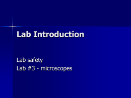 Lab Introduction Lab safety Lab #3 - microscopes