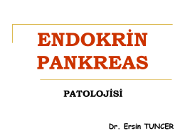 ENDOKRİN PANKREAS PATOLOJİSİ Dr. Ersin TUNCER