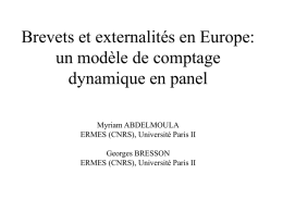Brevets et externalités en Europe: un modèle de comptage dynamique en panel