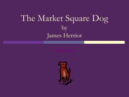 The Market Square Dog by James Herriot Review