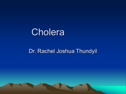 Cholera Dr. Rachel Joshua Thundyil