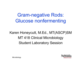 Gram-negative Rods: Glucose nonfermenting Karen Honeycutt, M.Ed., MT(ASCP)SM MT 418 Clinical Microbiology