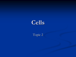 Cells Topic 2
