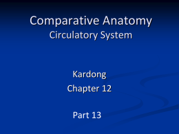 Comparative Anatomy Circulatory System Kardong Chapter 12