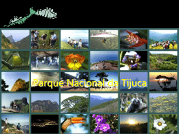Parque Nacional da Tijuca
