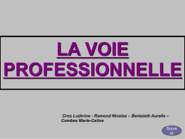 LA VOIE PROFESSIONNELLE – Benezeth Aurelie – Cros Ludivine - Ramond Nicolas