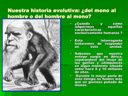 Nuestra historia evolutiva: ¿del mono al