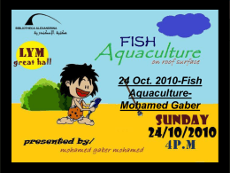 24 Oct. 2010-Fish Aquaculture- Mohamed Gaber