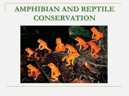 AMPHIBIAN AND REPTILE CONSERVATION