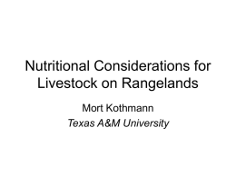 Nutritional Considerations for Livestock on Rangelands Mort Kothmann Texas A&amp;M University