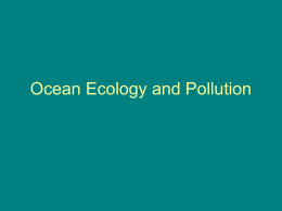 Ocean Ecology and Pollution