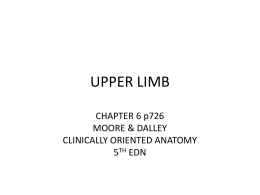 UPPER LIMB CHAPTER 6 p726 MOORE &amp; DALLEY CLINICALLY ORIENTED ANATOMY