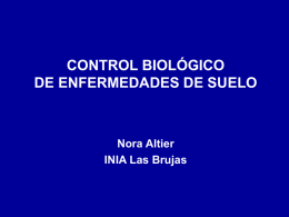 CONTROL BIOLÓGICO DE ENFERMEDADES DE SUELO Nora Altier INIA Las Brujas