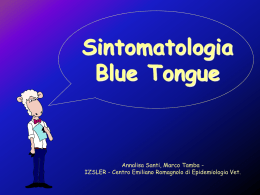 Sintomatologia Blue Tongue Annalisa Santi, Marco Tamba -