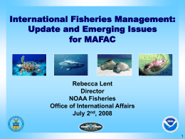 International Fisheries Management: Update and Emerging Issues for MAFAC Rebecca Lent