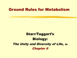 Ground Rules for Metabolism Starr/Taggart’s Biology: ,