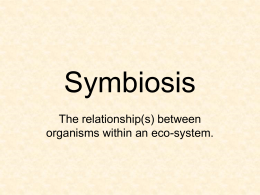 Symbiosis The relationship(s) between organisms within an eco-system.
