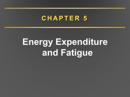 Energy Expenditure and Fatigue