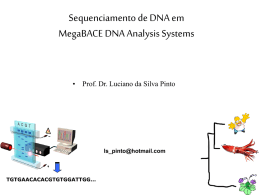 Sequenciamento de DNA em MegaBACE DNA Analysis Systems