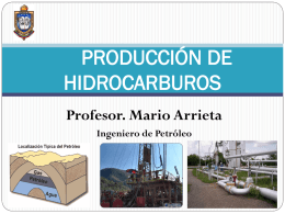 PRODUCCIÓN DE HIDROCARBUROS Profesor. Mario Arrieta Ingeniero de Petróleo
