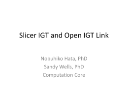 Slicer IGT and Open IGT Link Nobuhiko Hata, PhD Sandy Wells, PhD