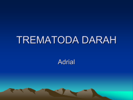 TREMATODA DARAH Adrial