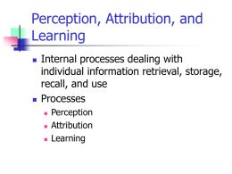 Perception, Attribution, and Learning Internal processes dealing with individual information retrieval, storage,