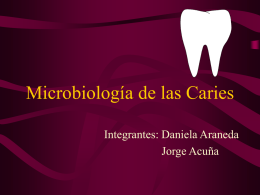 Microbiología de las Caries Integrantes: Daniela Araneda Jorge Acuña