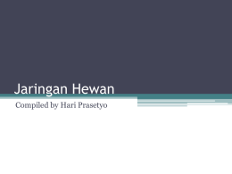 Jaringan Hewan Compiled by Hari Prasetyo