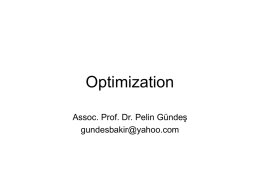 Optimization Assoc. Prof. Dr. Pelin Gündeş