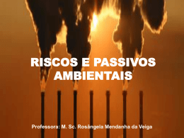 RISCOS E PASSIVOS AMBIENTAIS Professora: M. Sc. Rosângela Mendanha da Veiga