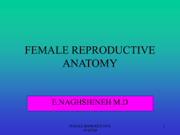 FEMALE REPRODUCTIVE ANATOMY E.NAGHSHINEH M.D 1