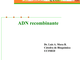 ADN recombinante Dr. Luis A. Mora B. Cátedra de Bioquímica UCIMED