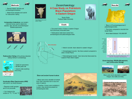 Zooarchaeology: A Case Study on Prehistoric Bison Populations in Eastern Oregon