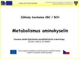 Metabolismus aminokyselin Základy biochemie KBC / BCH Inovace studia biochemie prostřednictvím e-learningu CZ.04.1.03/3.2.15.3/0407