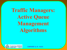 Traffic Managers: Active Queue Management Algorithms