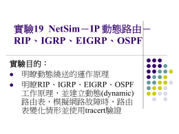19  NetSim RIP 實驗目的： 明瞭動態繞送的運作原理