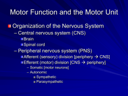Motor Function and the Motor Unit Organization of the Nervous System