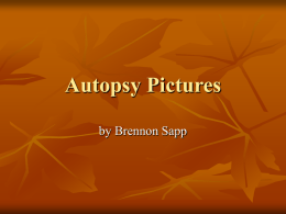 Autopsy Pictures by Brennon Sapp